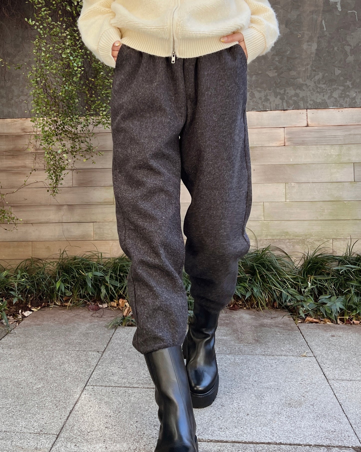 Wool Like Jogger Pants